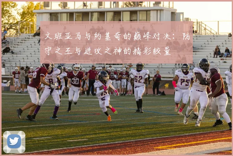 文班亚马与约基奇的巅峰对决：防守之王与进攻之神的精彩较量